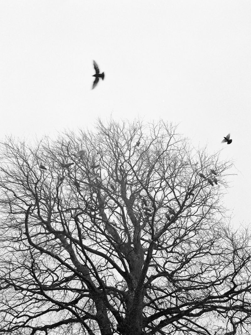 © Chris Lord - Image from the Twrch Trwyth photography project