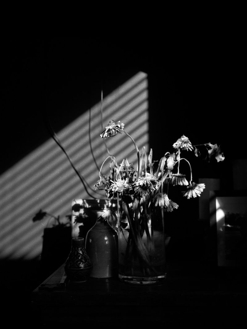 © Chris Lord - Image from the Twrch Trwyth photography project
