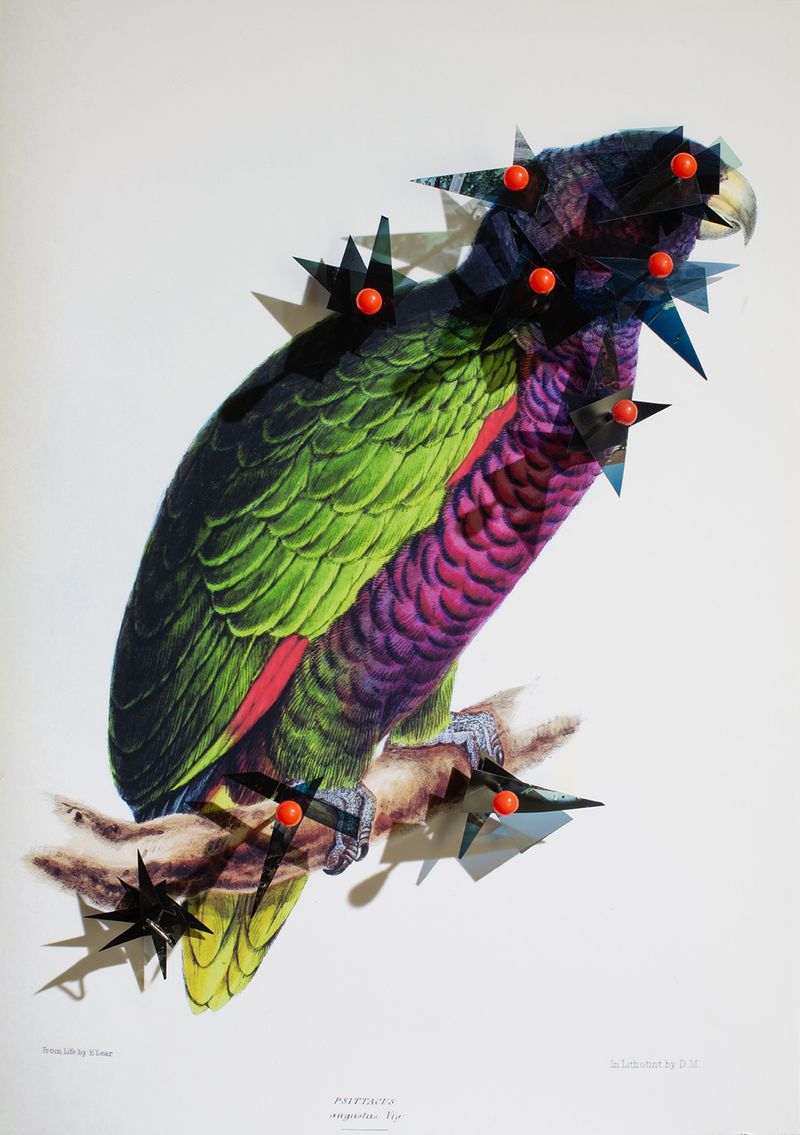 © Charalambos Artemis - Digital print mounted on foam board, fragmented photographic sailing archive, pins.