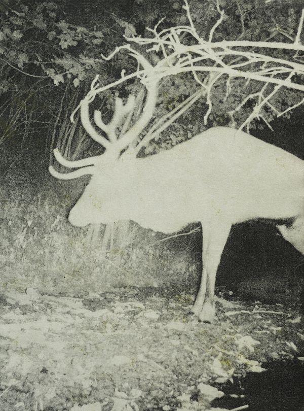 Stephen Gill, previous winner