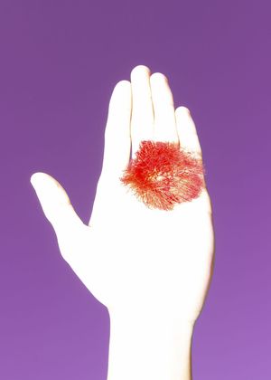 Blurring The Lines 2023 - An Ecology Of Seeing