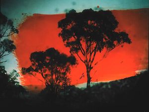 Australian Photography Awards 2023