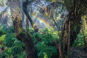 Capturing the Surreal in the Everyday