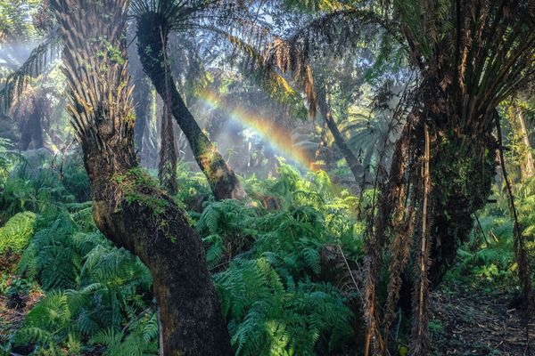 © Qian Zhao, from the series, Offcut, The Edge