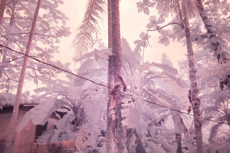 © Sanne De Wilde, from the series, The Island of the Colorblind