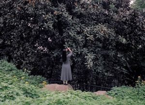 Poetry, Grace, and Nostalgia in Contemporary China