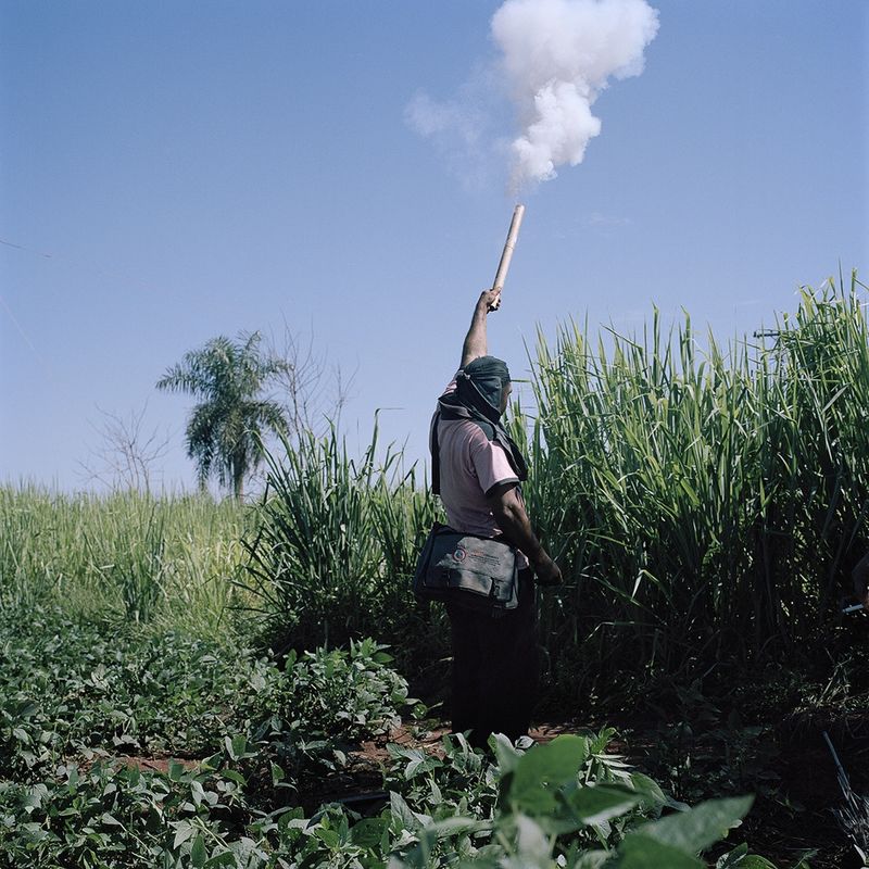 © Jordi Ruiz Cirera, from the seres, The United Soya Republic