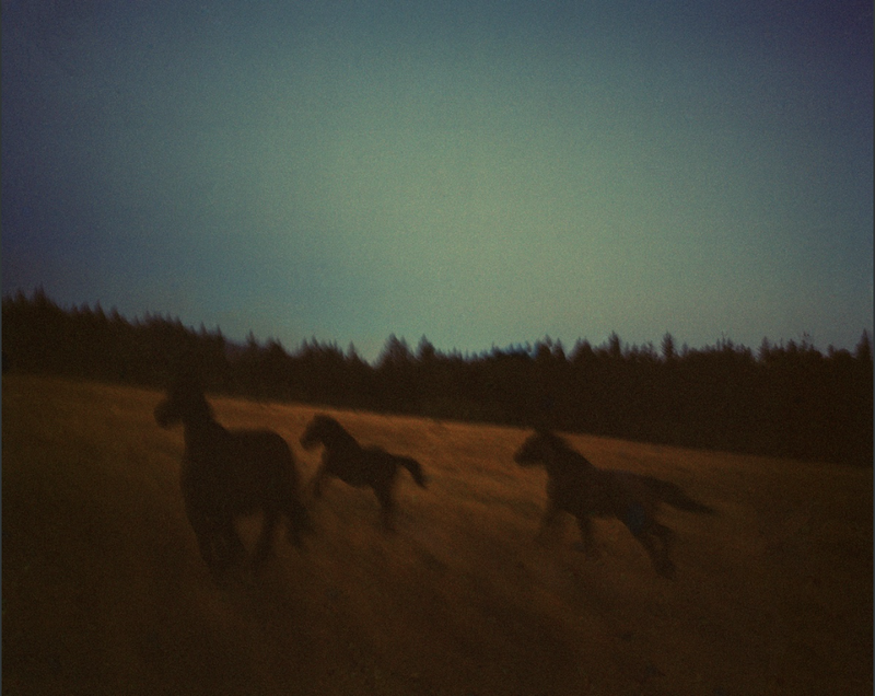 © Fergus Thomas, from the series Colville