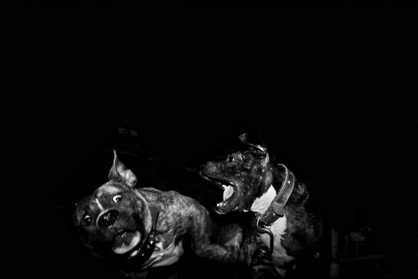 © Çağdaş Erdoğan, from the book, Control
