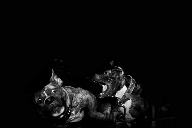 © Çağdaş Erdoğan, from the book, Control