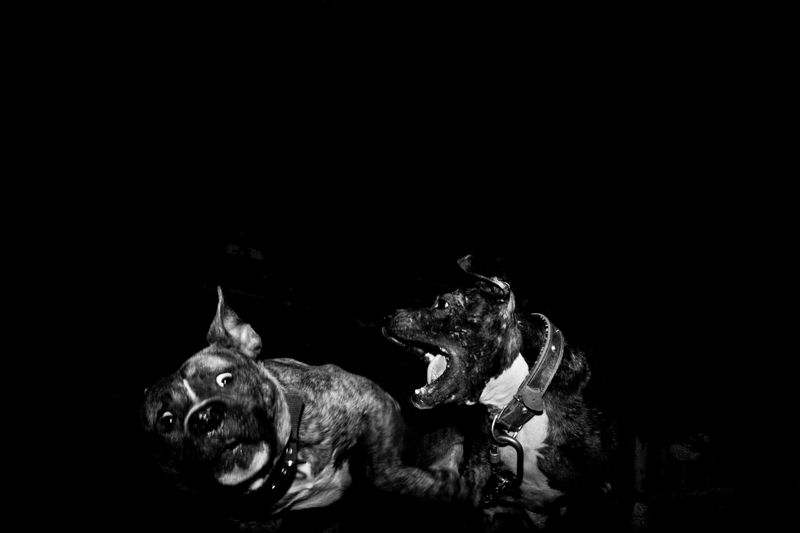 © Çağdaş Erdoğan, from the book, Control