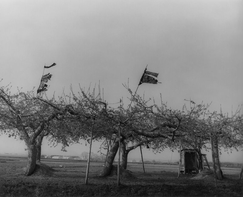 © Masako Tomiya, from the book, Kito