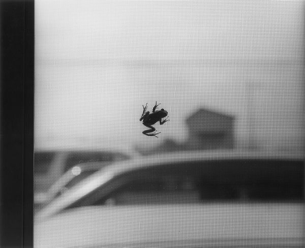 © Masako Tomiya, from the book, Kito