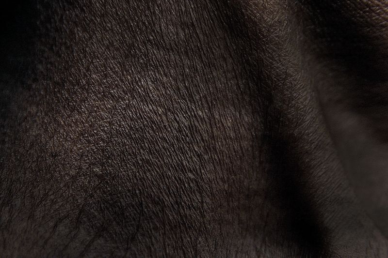 © Laura El-Tantawy - Farmer's neck.