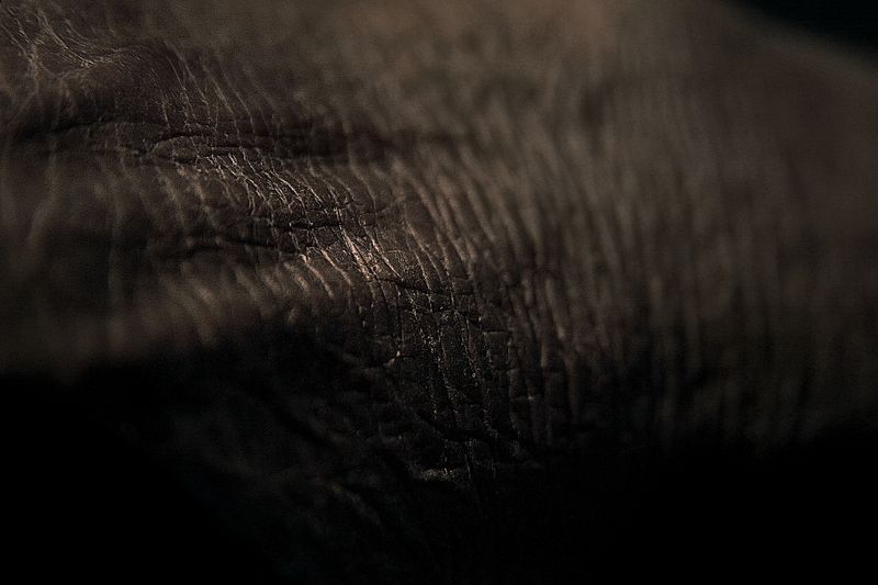 © Laura El-Tantawy - Farmer's hand.