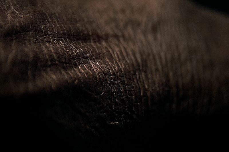 © Laura El-Tantawy - Farmer's hand.