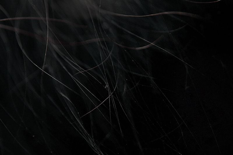 © Laura El-Tantawy - Farmer's hair.