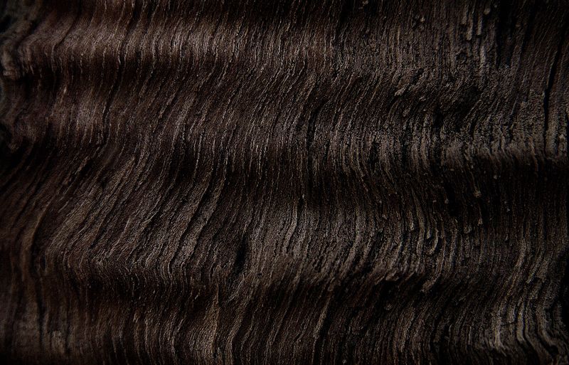 © Laura El-Tantawy - Tree bark.