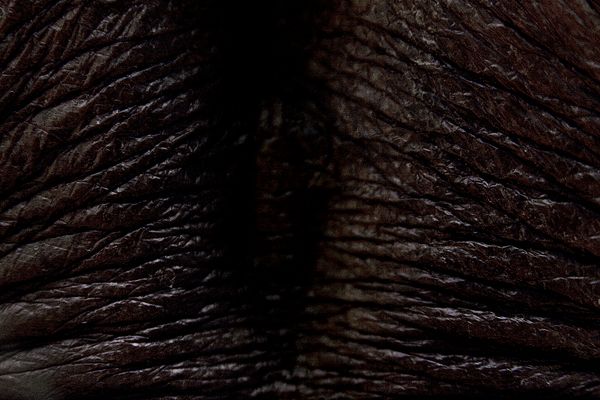 © Laura El-Tantawy - Farmer's skin.