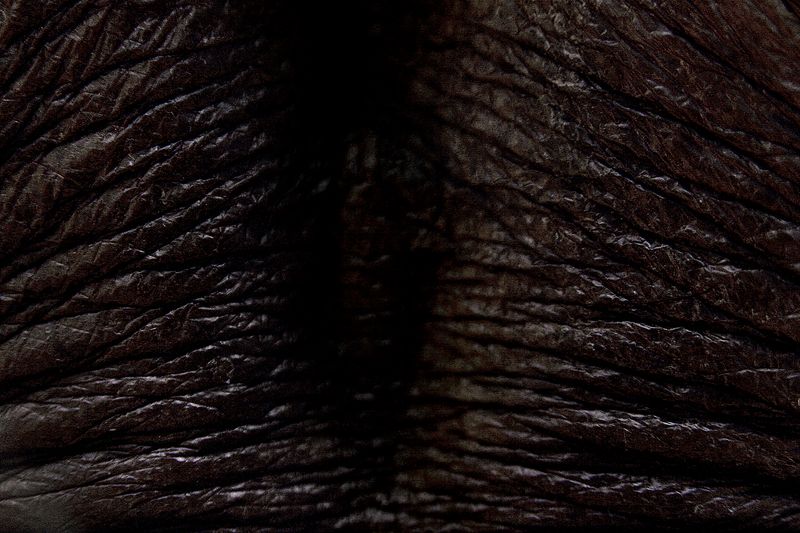 © Laura El-Tantawy - Farmer's skin.