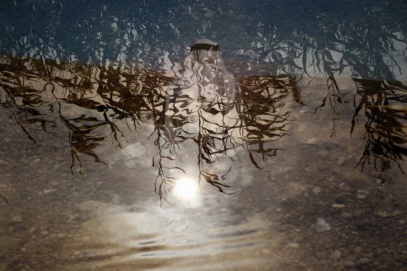 © Laura El-Tantawy - Image from the I'll Die For You photography project