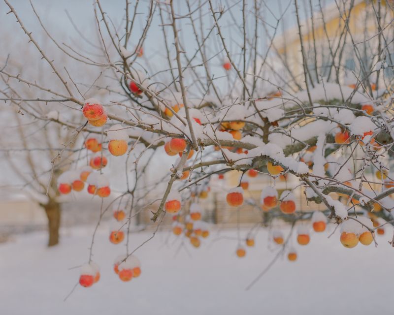 © Teva Cosic - Image from the Wander Lines photography project