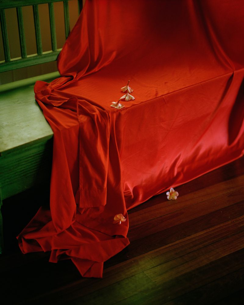 © Teva Cosic - Image from the The Birdsong is Deafening photography project