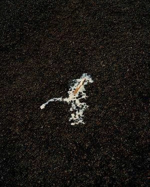 The Birdsong is Deafening