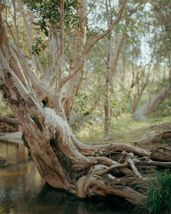 © Teva Cosic - Image from the Tillsammans och Isär (together and apart) photography project