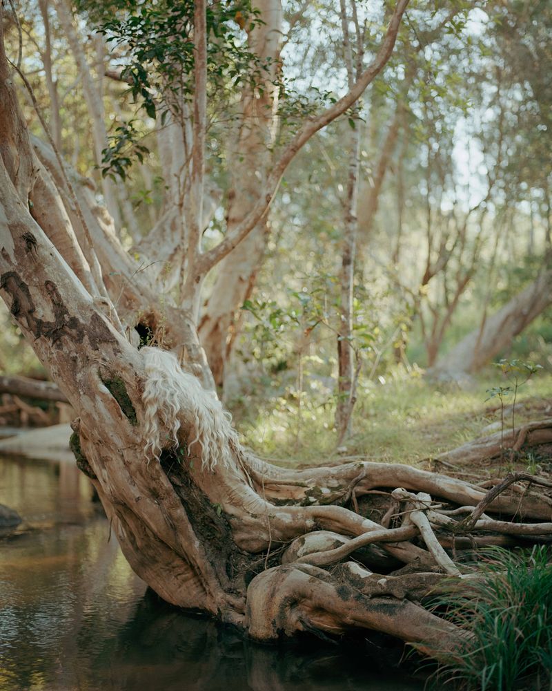 © Teva Cosic - Image from the Tillsammans och Isär (together and apart) photography project