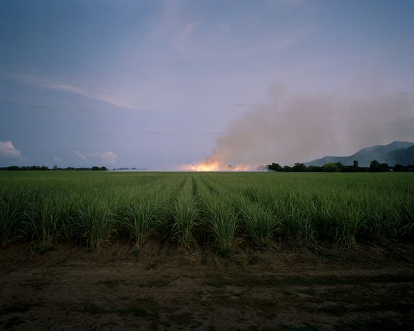 © Teva Cosic - Image from the The Birdsong is Deafening photography project