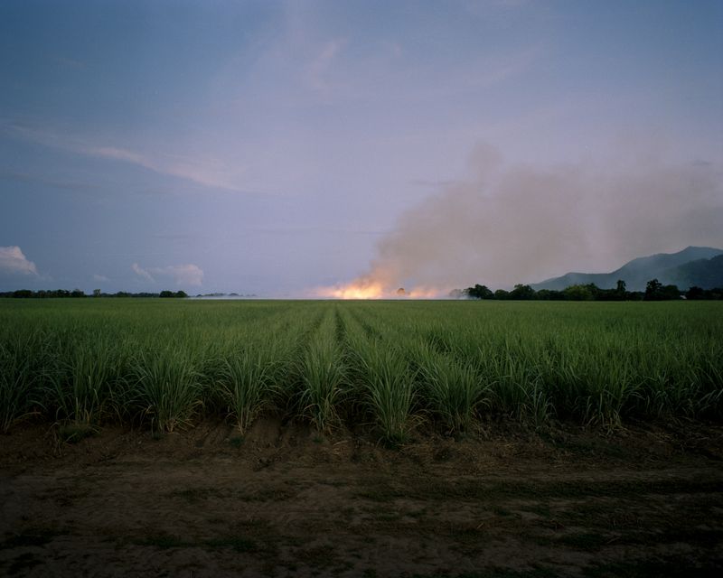 © Teva Cosic - Image from the The Birdsong is Deafening photography project