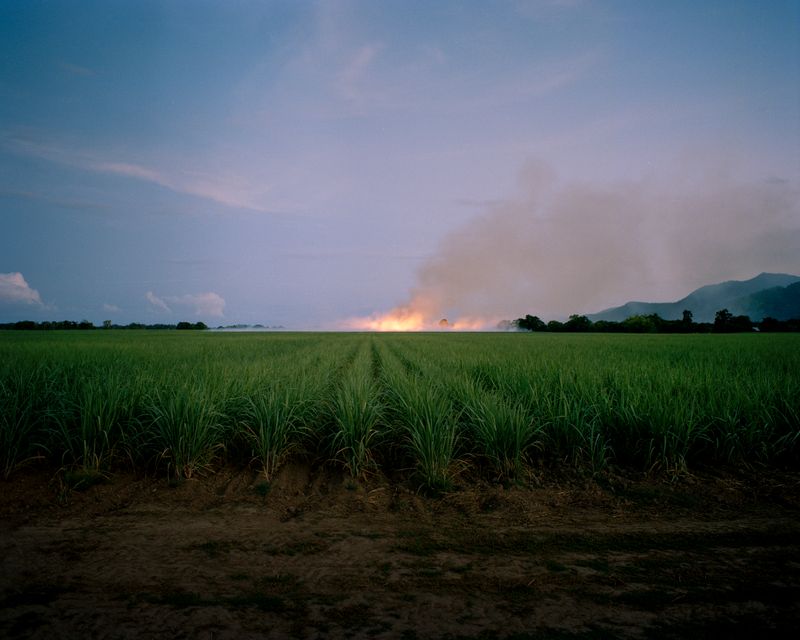 © Teva Cosic - Image from the The Birdsong is Deafening photography project