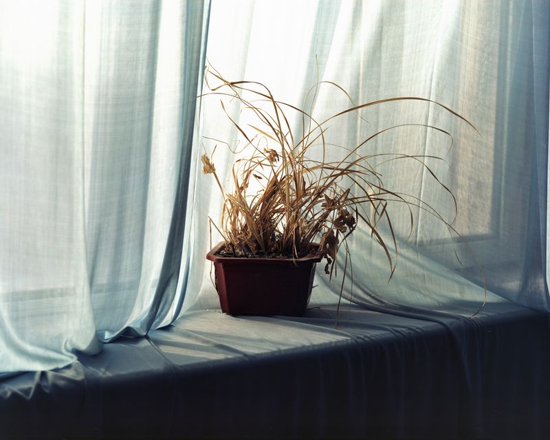 © Ronghui Chen - Image from the Freezing Land photography project