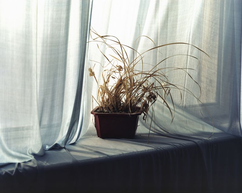 © Ronghui Chen - Image from the Freezing Land photography project