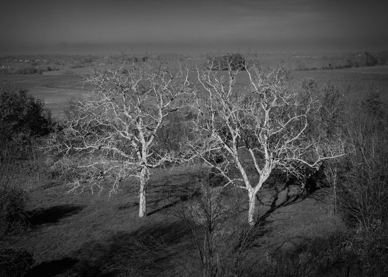 © Elena Kuzin - Image from the Initiation photography project