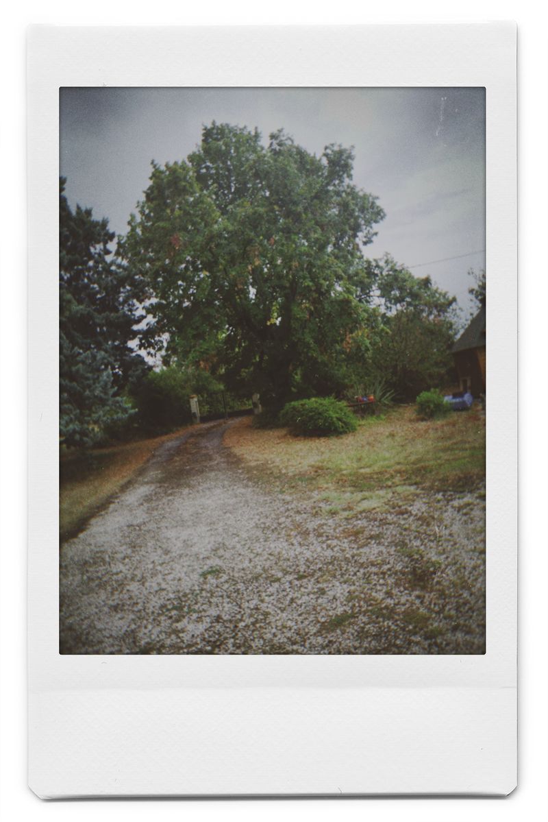 © Elena Kuzin - Image from the Ecliptic photography project