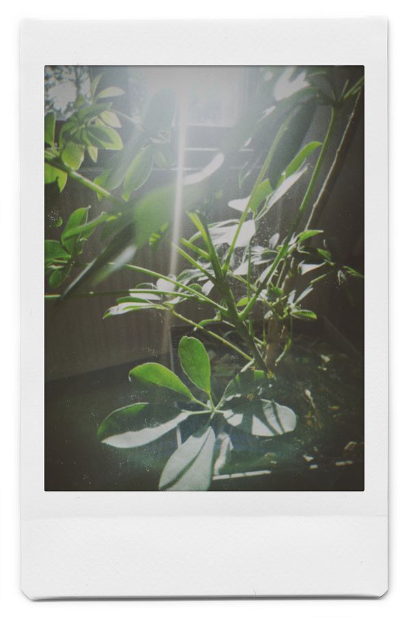 © Elena Kuzin - Image from the Ecliptic photography project