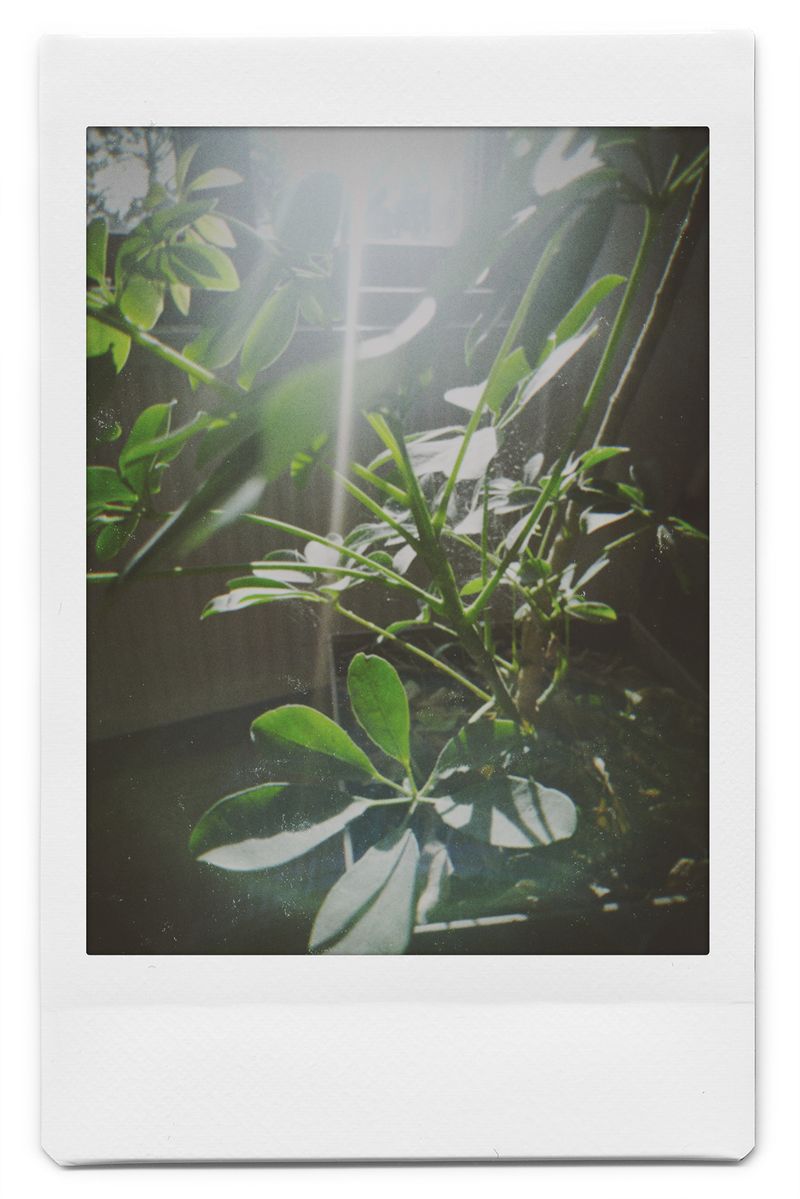 © Elena Kuzin - Image from the Ecliptic photography project