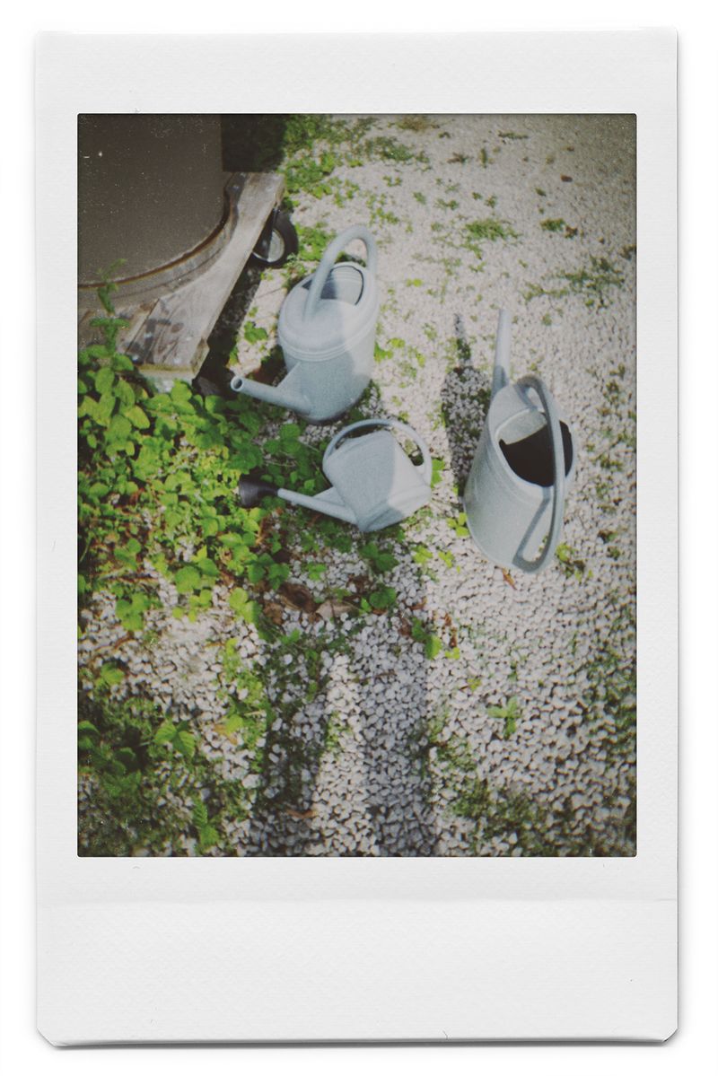 © Elena Kuzin - Image from the Ecliptic photography project