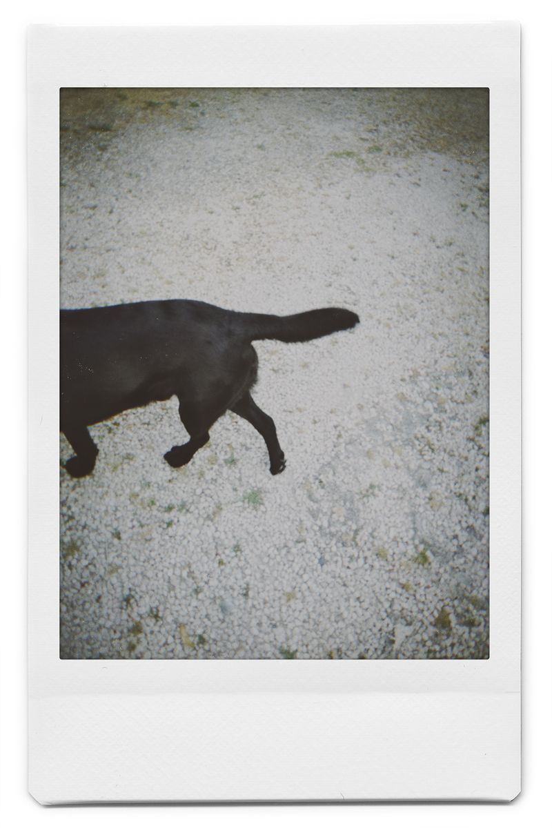 © Elena Kuzin - Image from the Ecliptic photography project