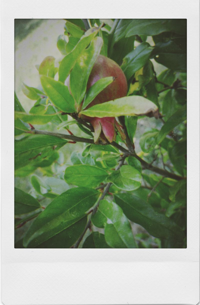 © Elena Kuzin - Image from the Ecliptic photography project