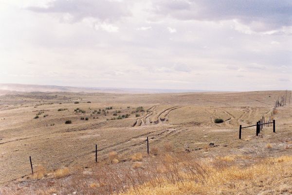 © Alex Matzke - Sandhills, 2025