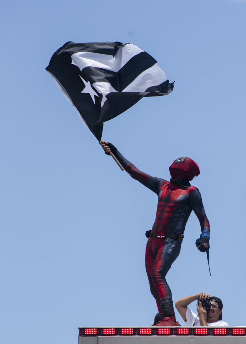 © Sally Rodriguez - Mourning Flag