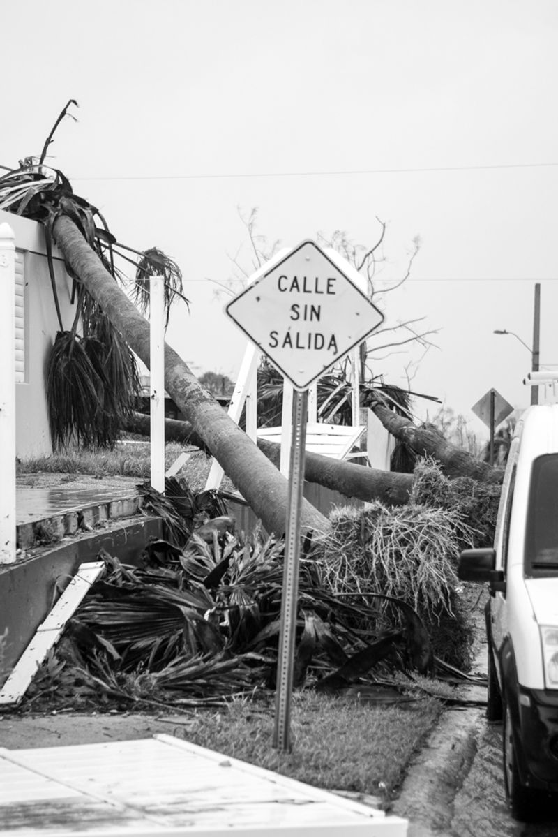 © Sally Rodriguez - dead end street