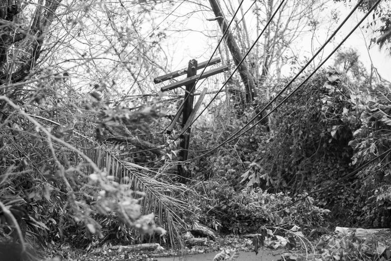 © Sally Rodriguez - No way out