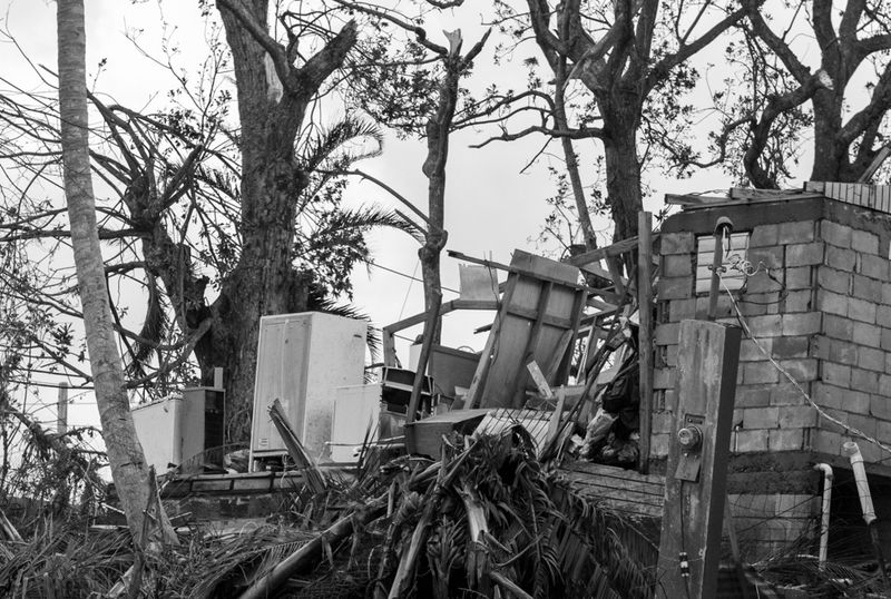 © Sally Rodriguez - no walls