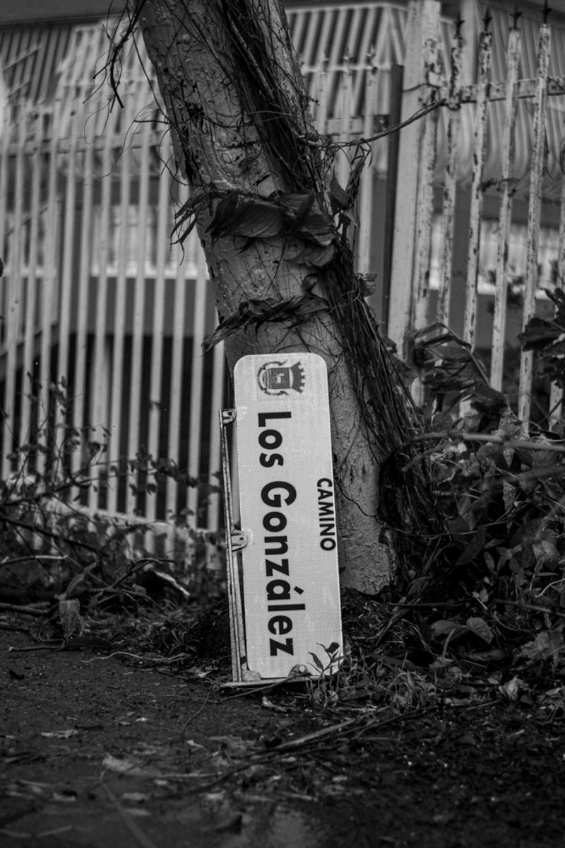 © Sally Rodriguez - Los Gonzalez