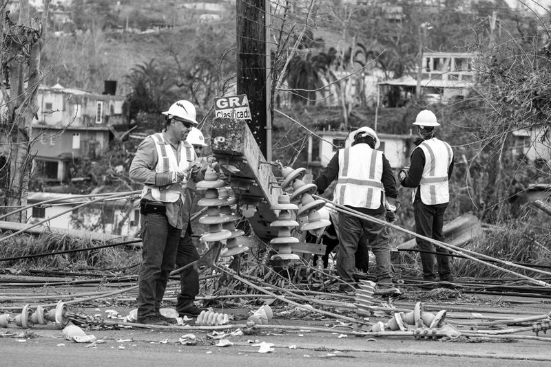 © Sally Rodriguez - They are trying!