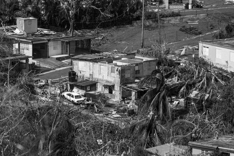 © Sally Rodriguez - No roof